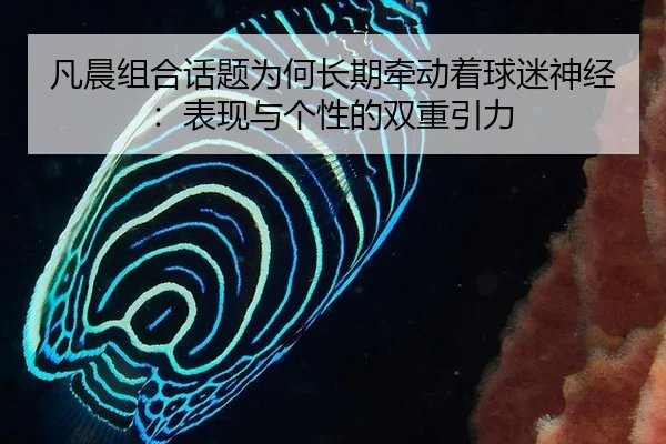 fan-chen-zu-he-hua-ti-wei-he-chang-qi-qian-dong-zhe-qiu-mi-shen-jing-biao-xian-yu-ge-xing-de-shuang-chong-yin-li-2-893.jpg