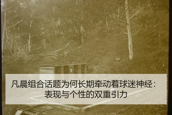 凡晨组合话题为何长期牵动着球迷神经：表现与个性的双重引力